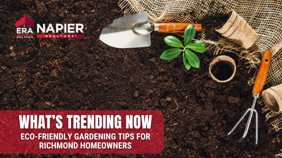 Eco-Friendly Gardening Tips for Richmond Homeowners | Napier ERA